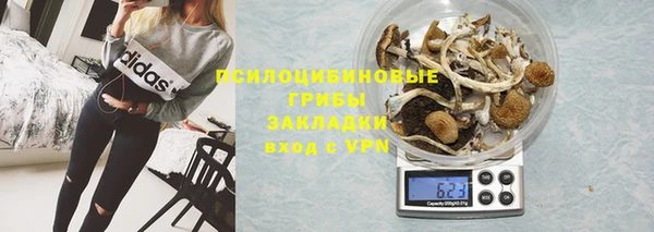 мяу мяу мука Арсеньев