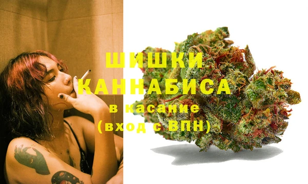 шишки Армянск