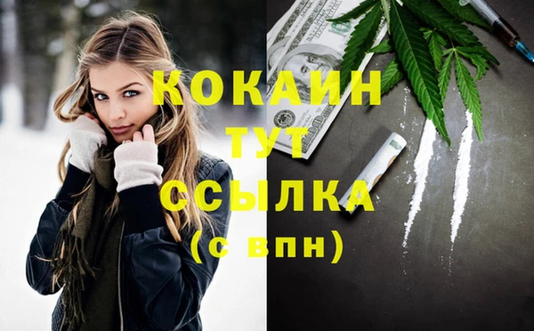 индика Баксан