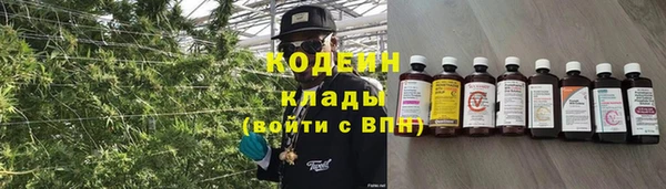 шишки Балахна