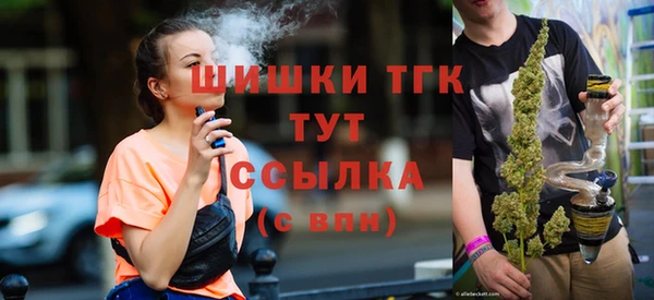 шишки Армянск