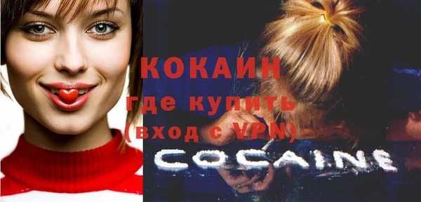шишки Армянск