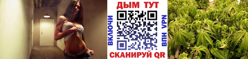 Шишки марихуана THC 21%  Канаш 